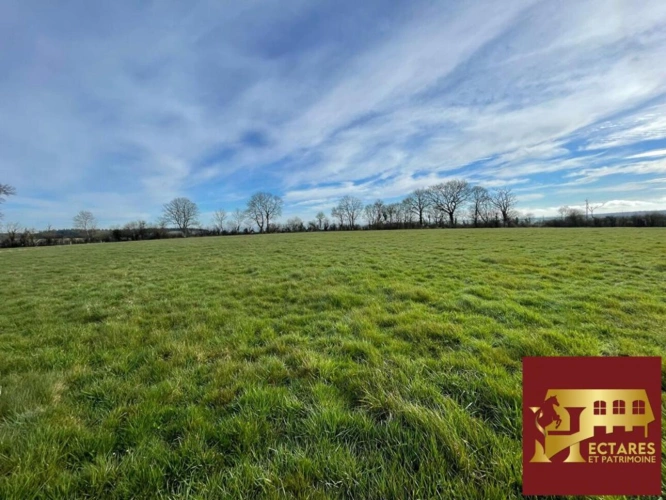 Photos 3 - Équestre - Maison à vendre proche de Mortrée sur 9 hectares