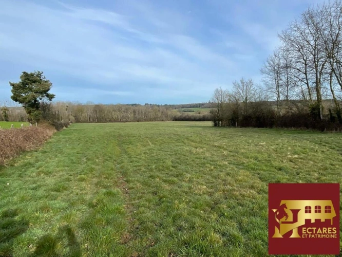 Photos 4 - Équestre - Maison à vendre proche de Mortrée sur 9 hectares
