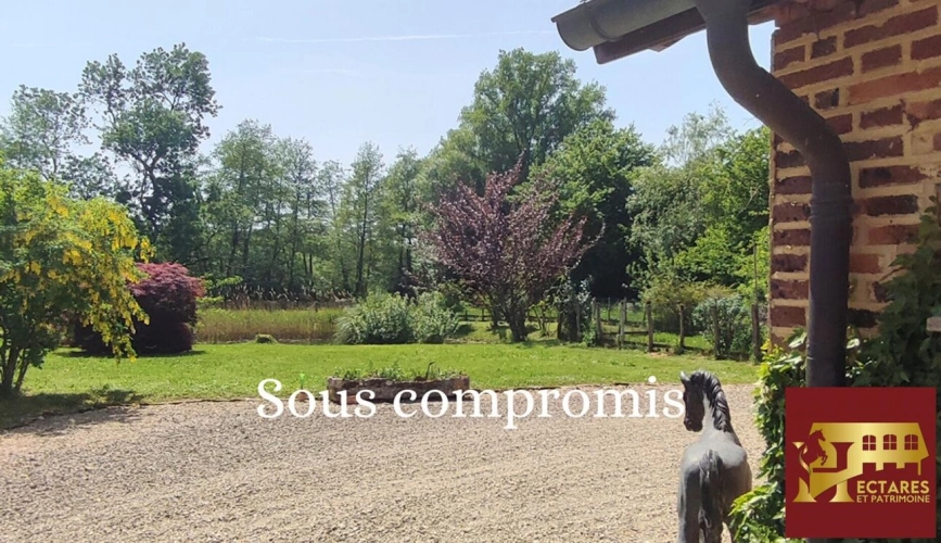 Photos 2 - Equestrian - Propriété 35 hectares en pleine nature à 2h de Suisse