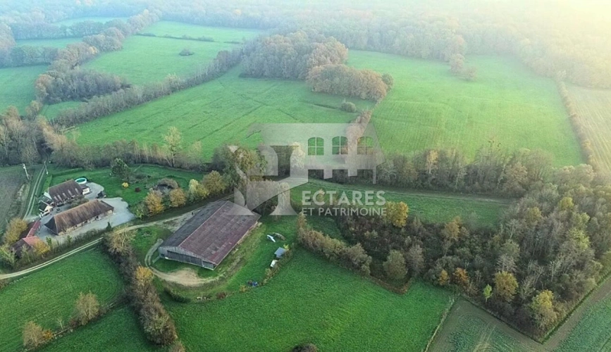 Photos 5 - Equestrian - Propriété 35 hectares en pleine nature à 2h de Suisse