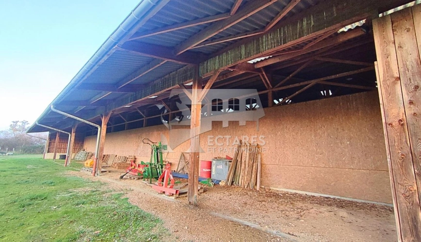 Photos 8 - Equestrian - Propriété 35 hectares en pleine nature à 2h de Suisse