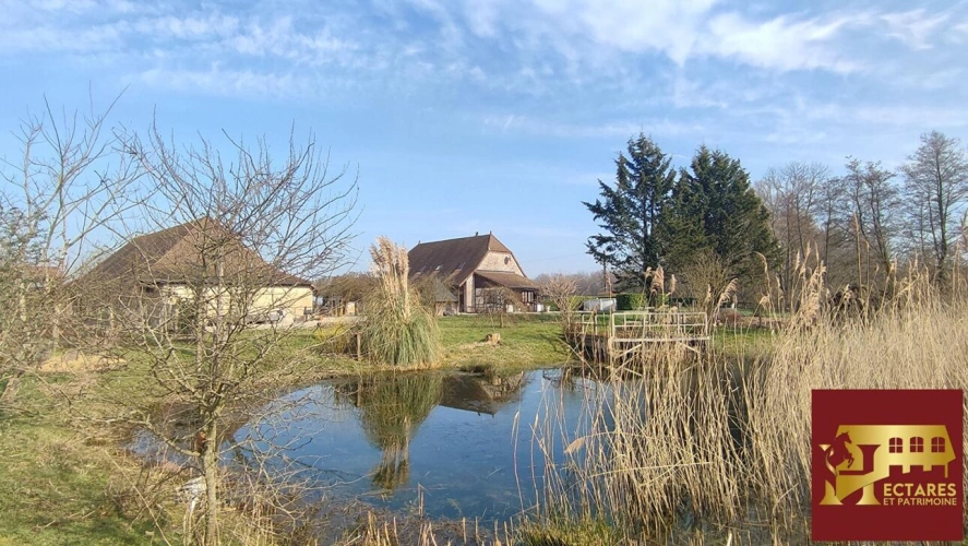 Photos 17 - Equestrian - Propriété 35 hectares en pleine nature à 2h de Suisse