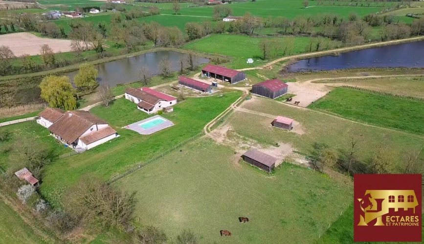 Photos 1 - Équestre - Propriété 21 hectares 2 habitations
