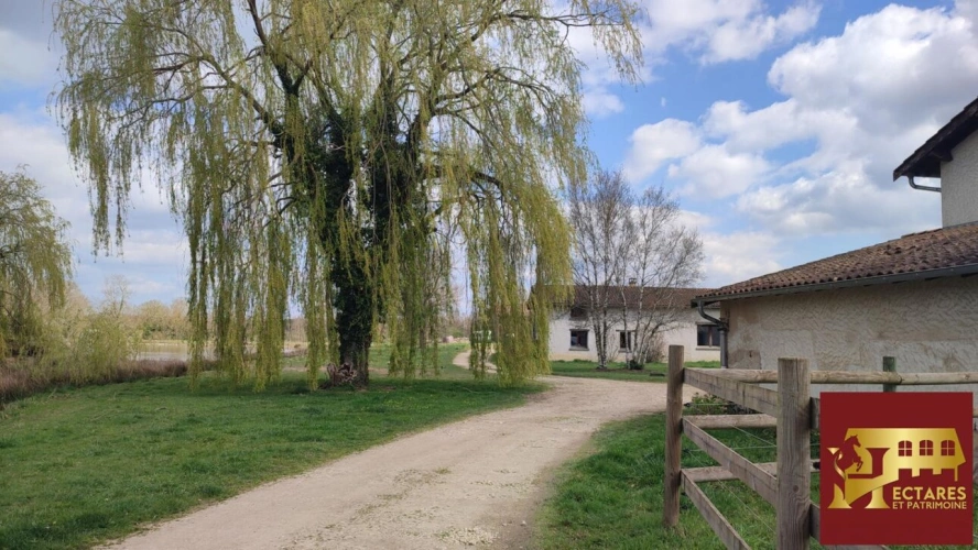 Photos 2 - Équestre - Propriété 21 hectares 2 habitations