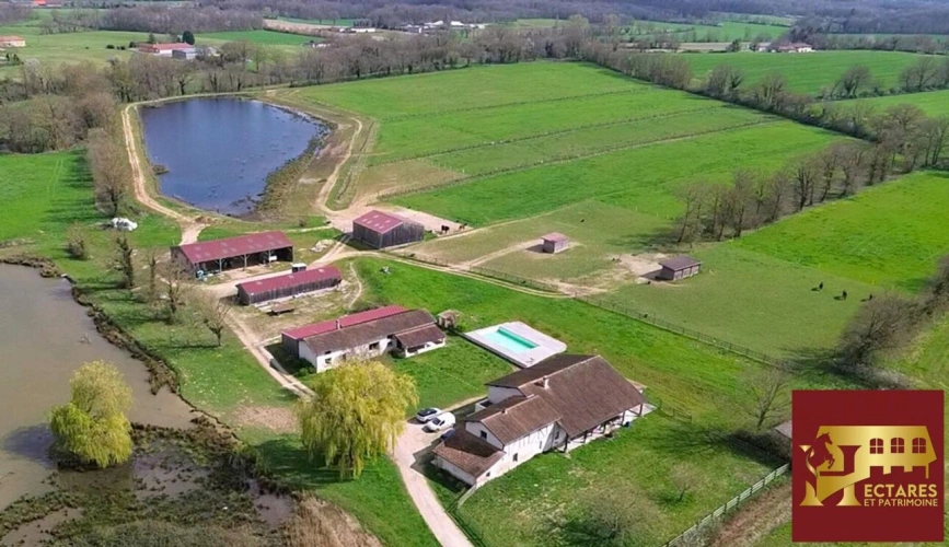Photos 10 - Équestre - Propriété 21 hectares 2 habitations