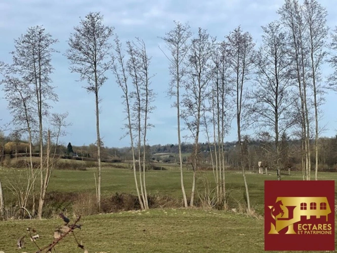 Photos 1 - Équestre - A vendre  à proximité de Lisieux propriété sur 16 ha