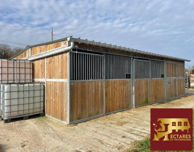 Photos 2 - Équestre - A vendre  à proximité de Lisieux propriété sur 16 ha