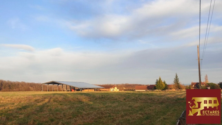 Photos 2 - Équestre - Domaine équestre 39 hectares