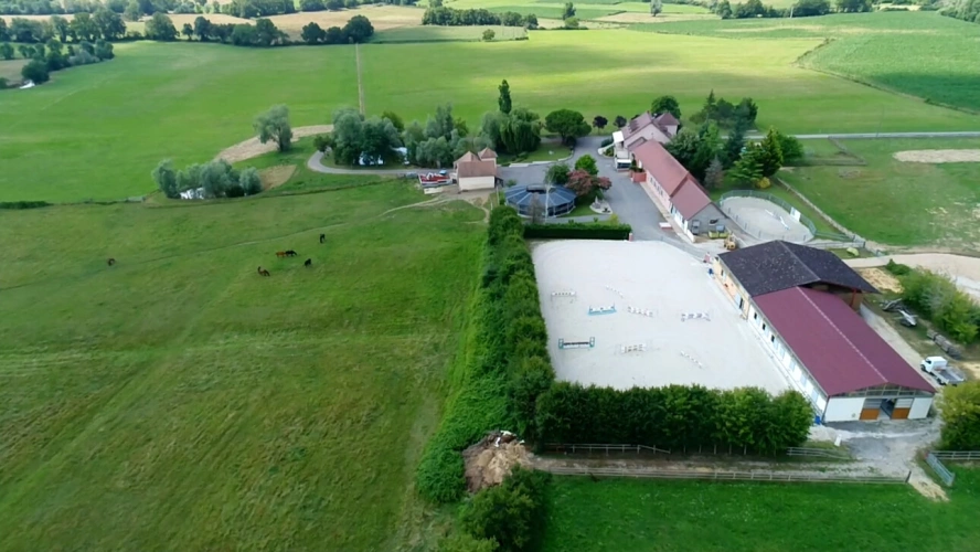 Photos 3 - Équestre - Domaine équestre 39 hectares