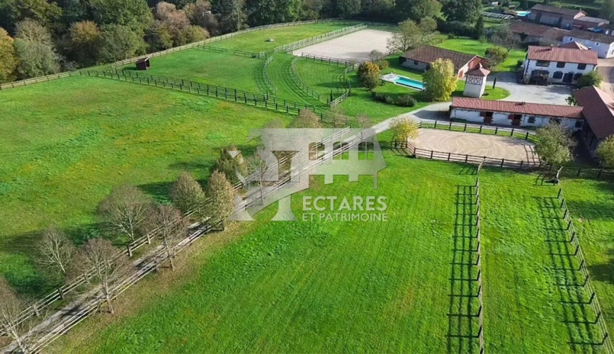 Photos 3 - Équestre - Propriété équestre d'exception 4 hectares