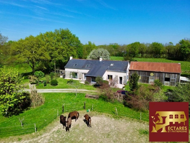 Photos 1 - Équestre - Maison Blain 8 pièce(s) 220 m2, 4 hectares