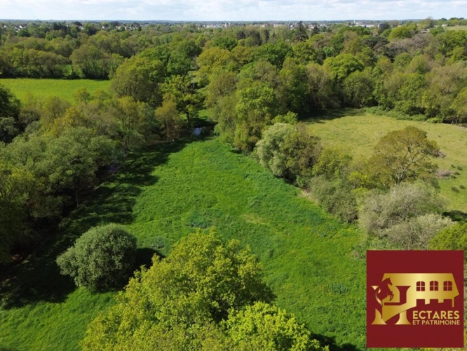 Photos 3 - Équestre - Maison Nort Sur Erdre 10 pièce(s) 266 m2 1,7 hectares