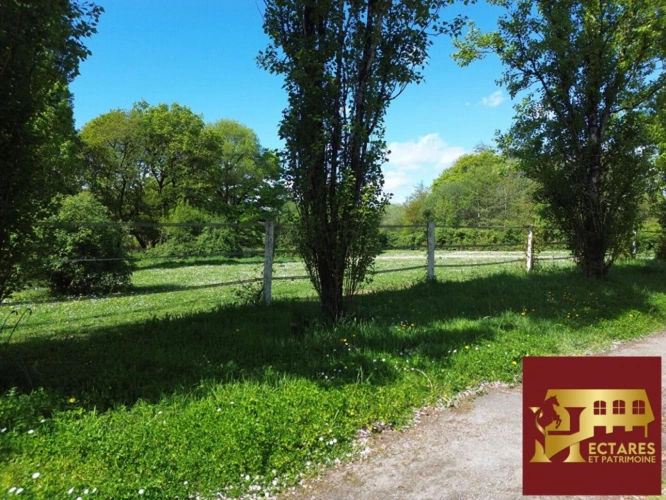 Photos 7 - Équestre - Maison Nort Sur Erdre 10 pièce(s) 266 m2 1,7 hectares