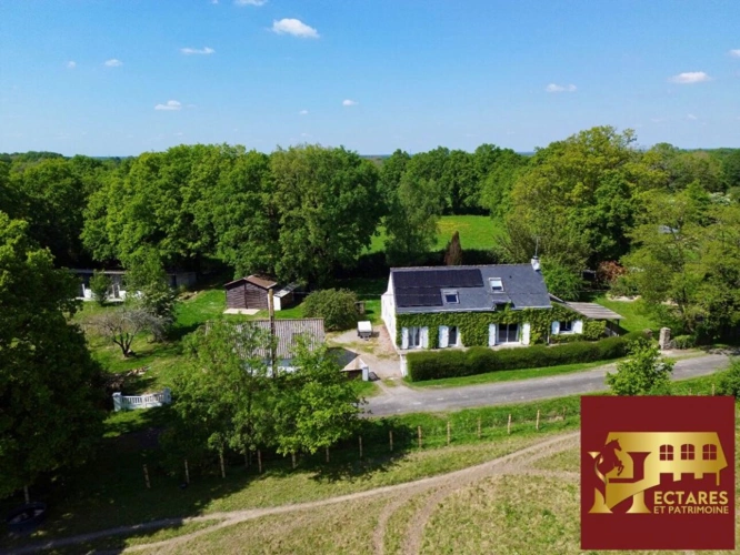 Photos 2 - Équestre - Propriété équestre de 2,6 hectares, maison 187 m2 et dépendances
