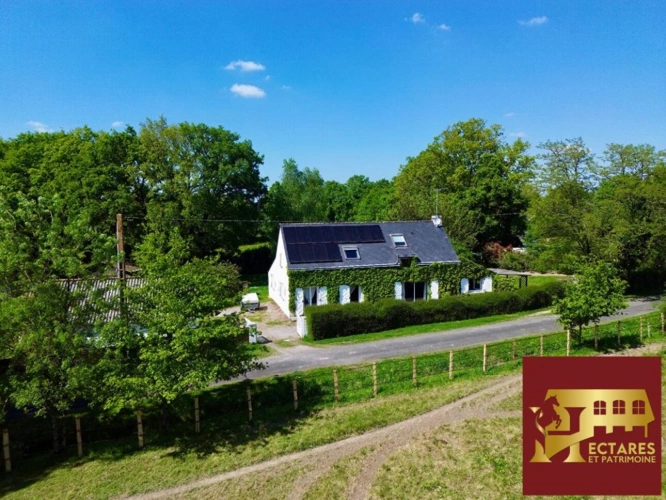 Photos 3 - Équestre - Propriété équestre de 2,6 hectares, maison 187 m2 et dépendances