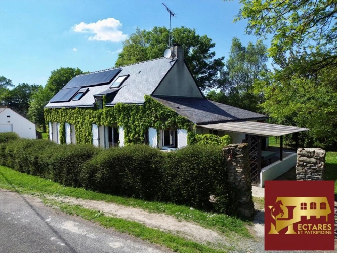 Photos 4 - Équestre - Propriété équestre de 2,6 hectares, maison 187 m2 et dépendances