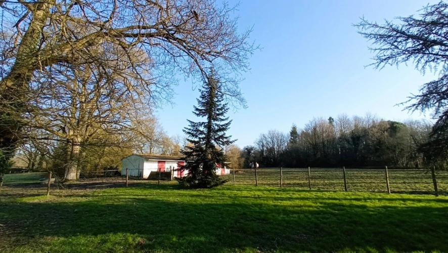 Photos 6 - Équestre - Propriété équestre de 2,6 hectares, maison 187 m2 et dépendances