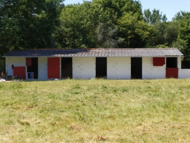Photos 8 - Équestre - Propriété équestre de 2,6 hectares, maison 187 m2 et dépendances