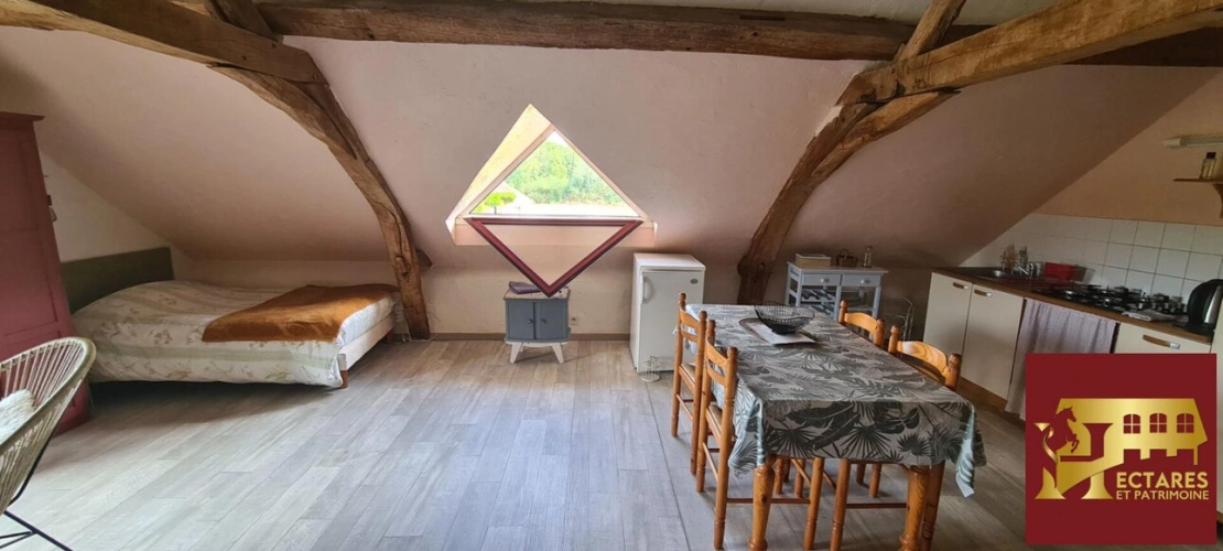 Photos 8 - Équestre - Propriété équestre avec gîtes