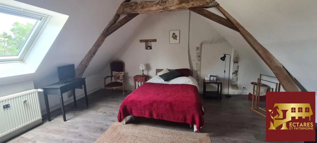 Photos 11 - Équestre - Propriété équestre avec gîtes