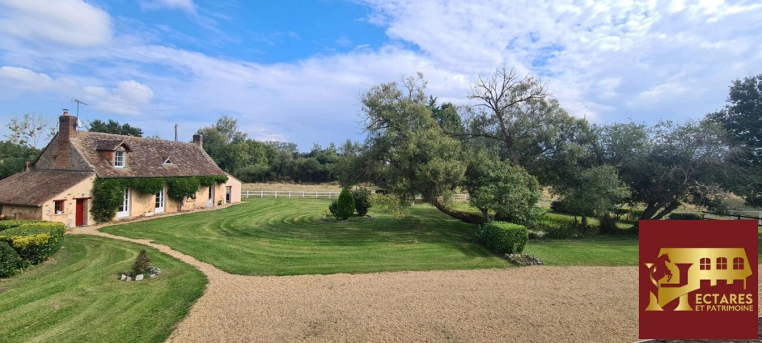 Photos 14 - Équestre - Propriété équestre avec gîtes