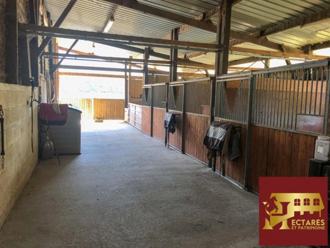 Photos 3 - Équestre - Maison 170 m2, 4 hectares et dépendances
