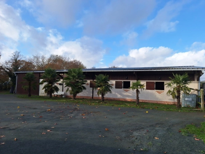Photos 6 - Équestre - Maison 170 m2, 4 hectares et dépendances