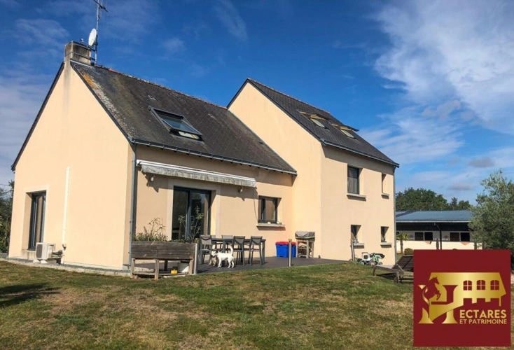 Photos 9 - Équestre - Maison 170 m2, 4 hectares et dépendances