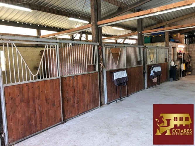 Photos 10 - Équestre - Maison 170 m2, 4 hectares et dépendances