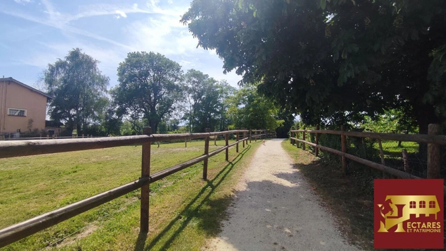 Photos 9 - Équestre - Charmante propriété équestre