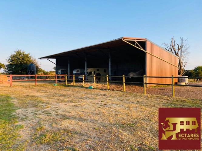 Photos 10 - Équestre - Maison Guenrouet, 180 m2, 3 hectares