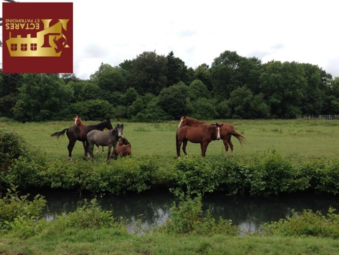 Photos 3 - Équestre - Haras sur 56 hectares à vendre proche Montreuil l'Argillé (27)