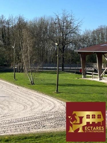 Photos 4 - Équestre - Ecurie haut de gamme à 35min de Paris