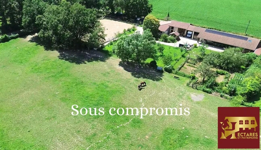 Photos 2 - Équestre - Propriété équestre 3 hectares