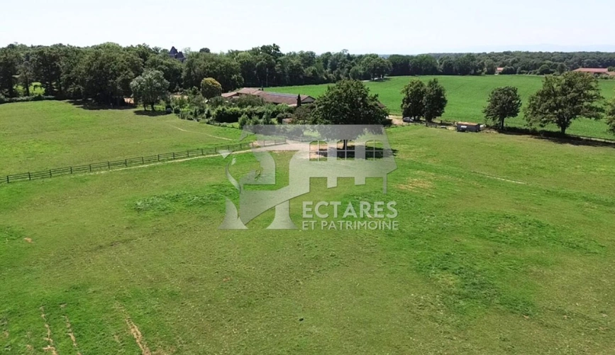 Photos 3 - Équestre - Propriété équestre 3 hectares
