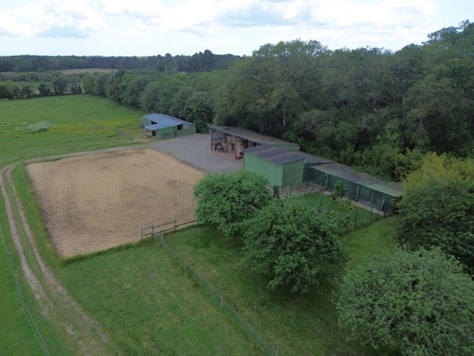 Photos 12 - Équestre - Maison Herbignac 10 pièce(s) 360 m2 18 hectares