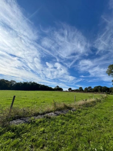 Photos 4 - Équestre - PROPRIETE EQUESTRE avec maison sur 3,6 Hectares
