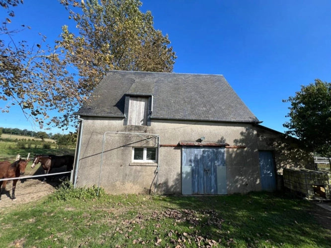 Photos 7 - Équestre - PROPRIETE EQUESTRE avec maison sur 3,6 Hectares