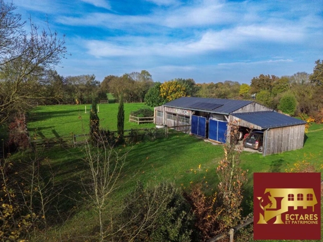Photos 3 - Équestre - Propriété équestre 11 hectares (16 possibles), maison de 229 m²