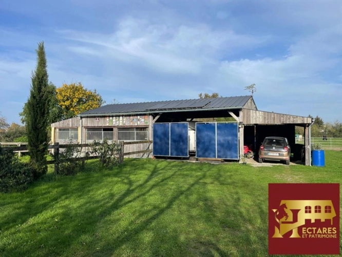 Photos 4 - Équestre - Propriété équestre 11 hectares (16 possibles), maison de 229 m²