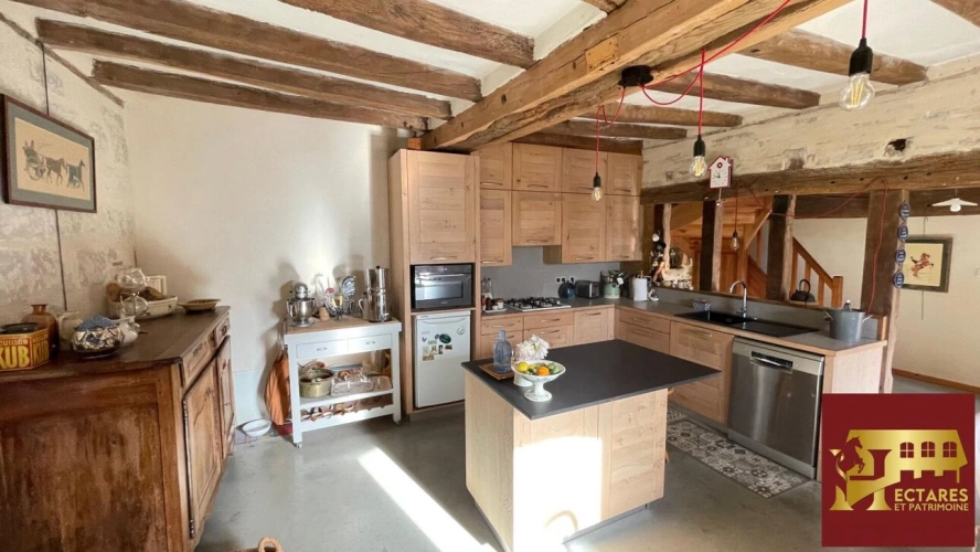 Photos 8 - Équestre - Propriété équestre 11 hectares (16 possibles), maison de 229 m²