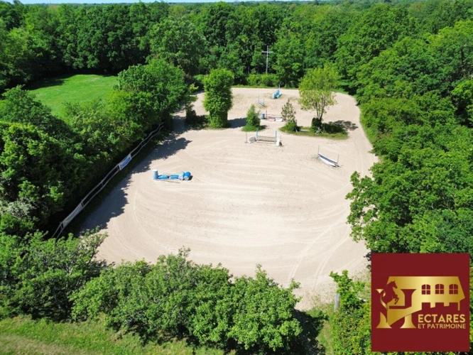 Photos 3 - Équestre - Maison Machecoul , 240 m2, 12 hectares