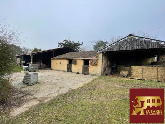 Photos 9 - Équestre - Maison Machecoul , 240 m2, 12 hectares