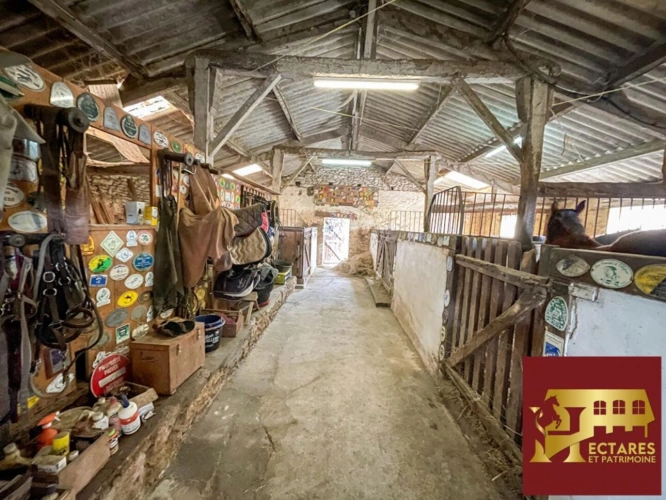 Photos 10 - Équestre - Maison Machecoul , 240 m2, 12 hectares