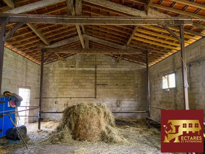 Photos 4 - Équestre - Maison en bordure de forêt