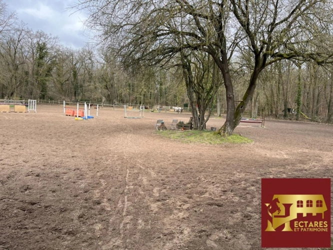 Photos 1 - Équestre - Ecurie trés bien placée 95