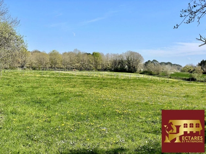 Photos 3 - Équestre - Maison Fegreac 6 pièce(s) 110 m2, 4 hectares
