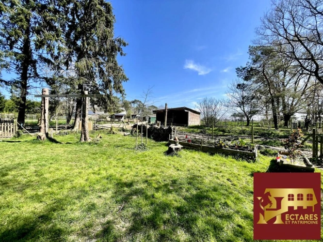 Photos 7 - Équestre - Maison Fegreac 6 pièce(s) 110 m2, 4 hectares