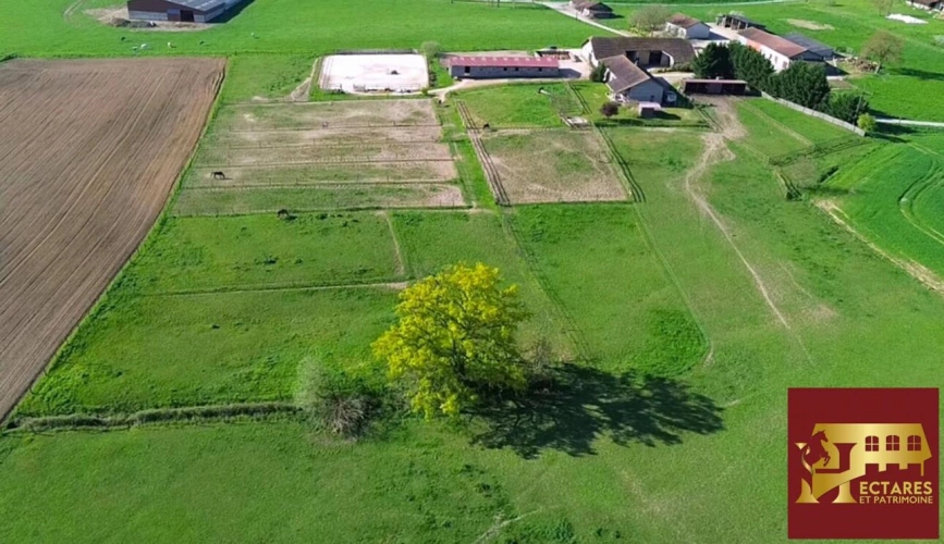 Photos 1 - Équestre - Habitation et écurie sur 4,1 hectares