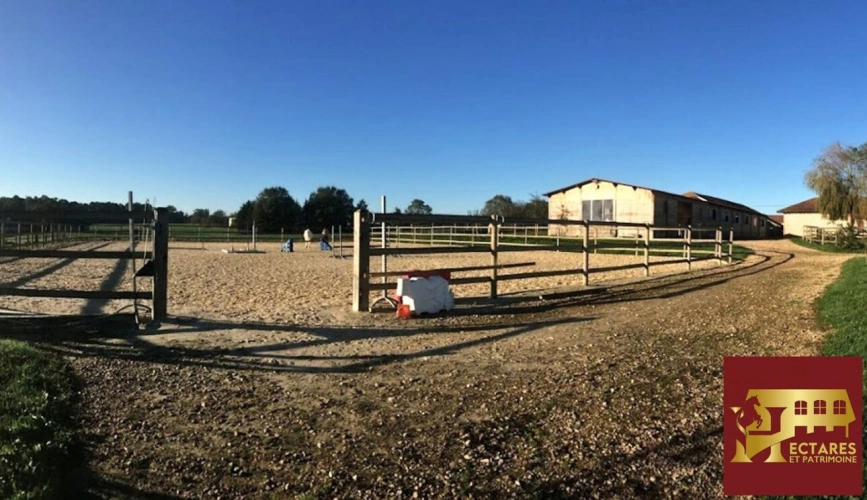 Photos 4 - Équestre - Habitation et écurie sur 4,1 hectares